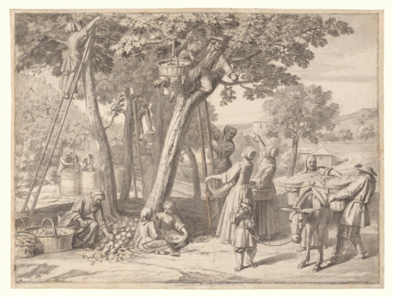 September: Picking Fruit