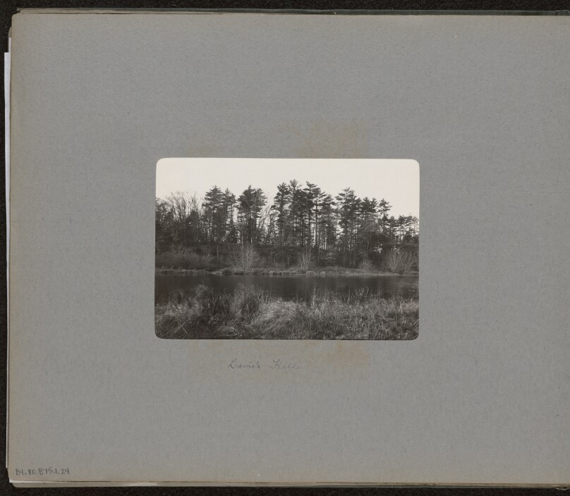 [Davis's Hill]