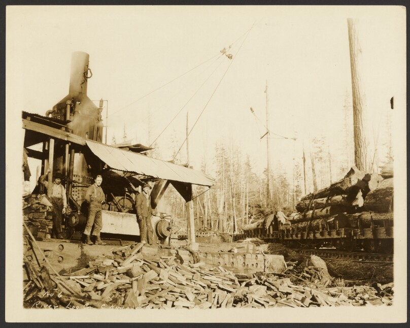 [Logging/ Timber Scene]