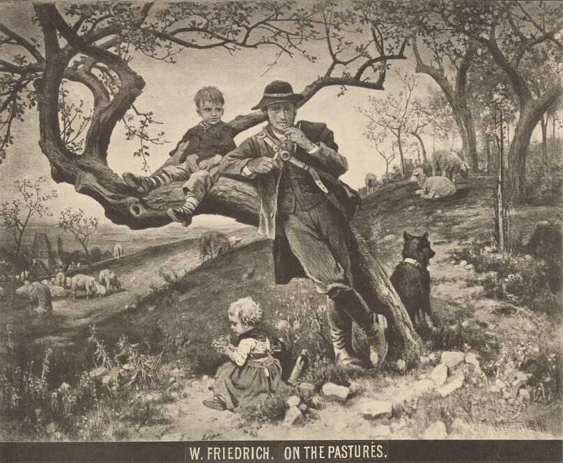 W. Friedrich - On the Pastures