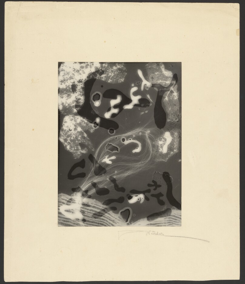 Photogram VI