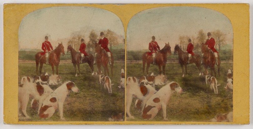 [Fox hunt]
