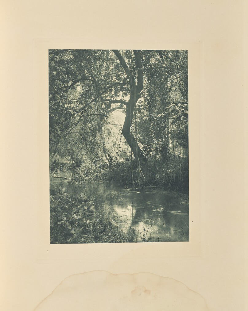 Vallée de Tempé