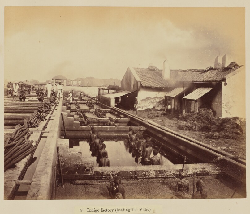Indigo factory (beating the Vats)
