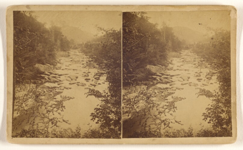 [Hickory Nut Gap. View on Broad River. Asheville, North Carolina]