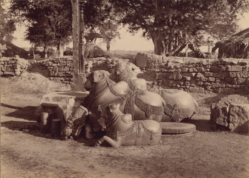Bulls or Nadias with Ornamental Carvings Side View, Warangal, Hyderabad, Deccan