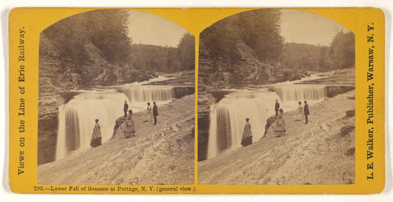 Lower Fall of Genesee at Portage, N.Y. (general view.)