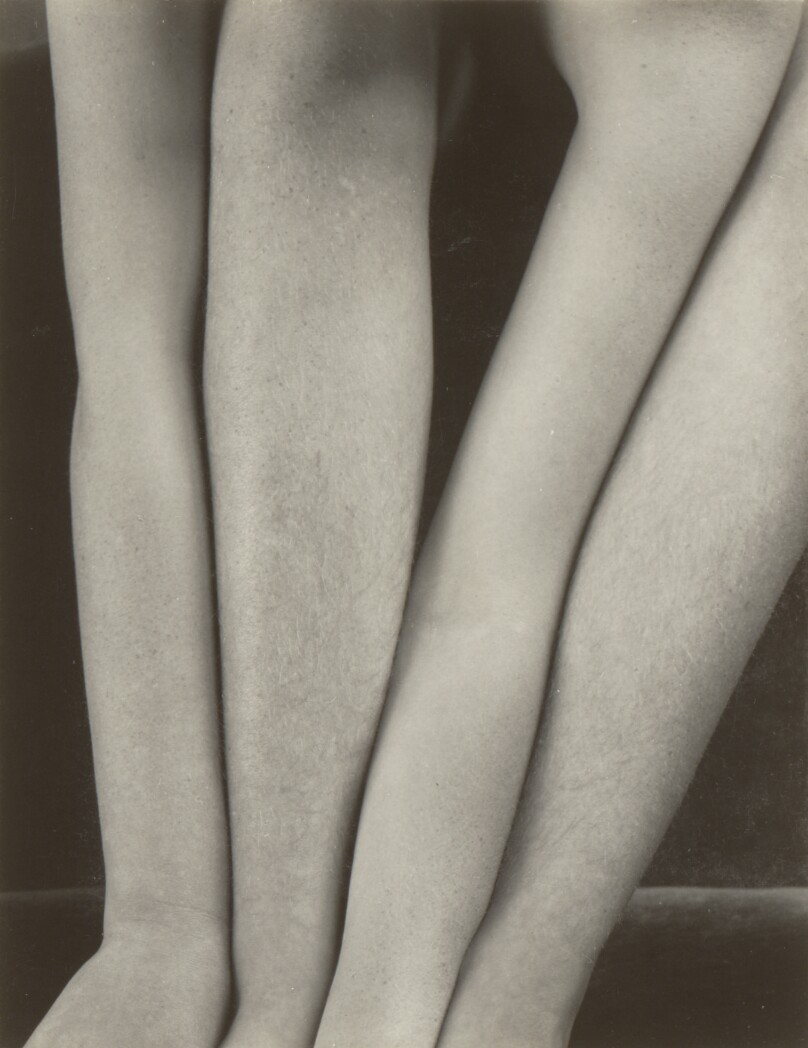 Arms and Shins