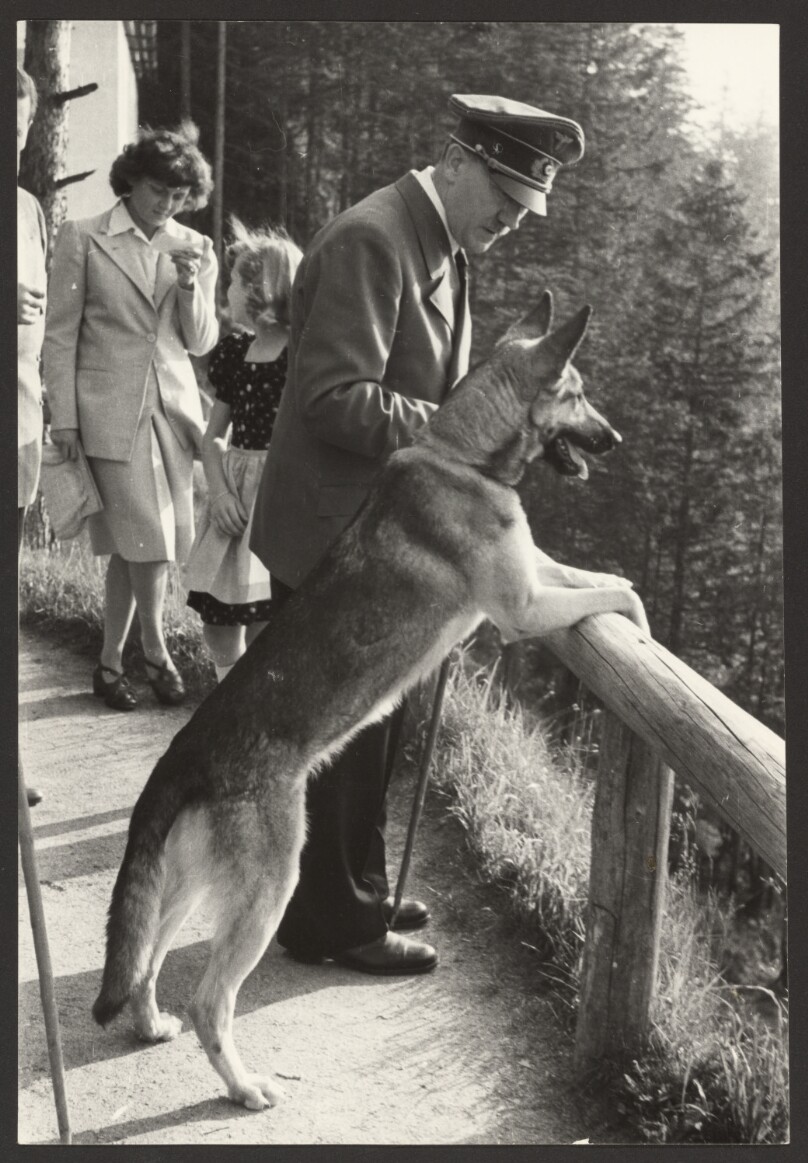 [Hitler and Blondi]