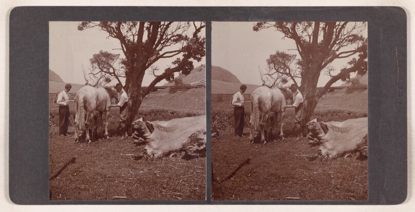 [Two men in a field attending to a horse] (recto); [Tobaggan course] (verso)