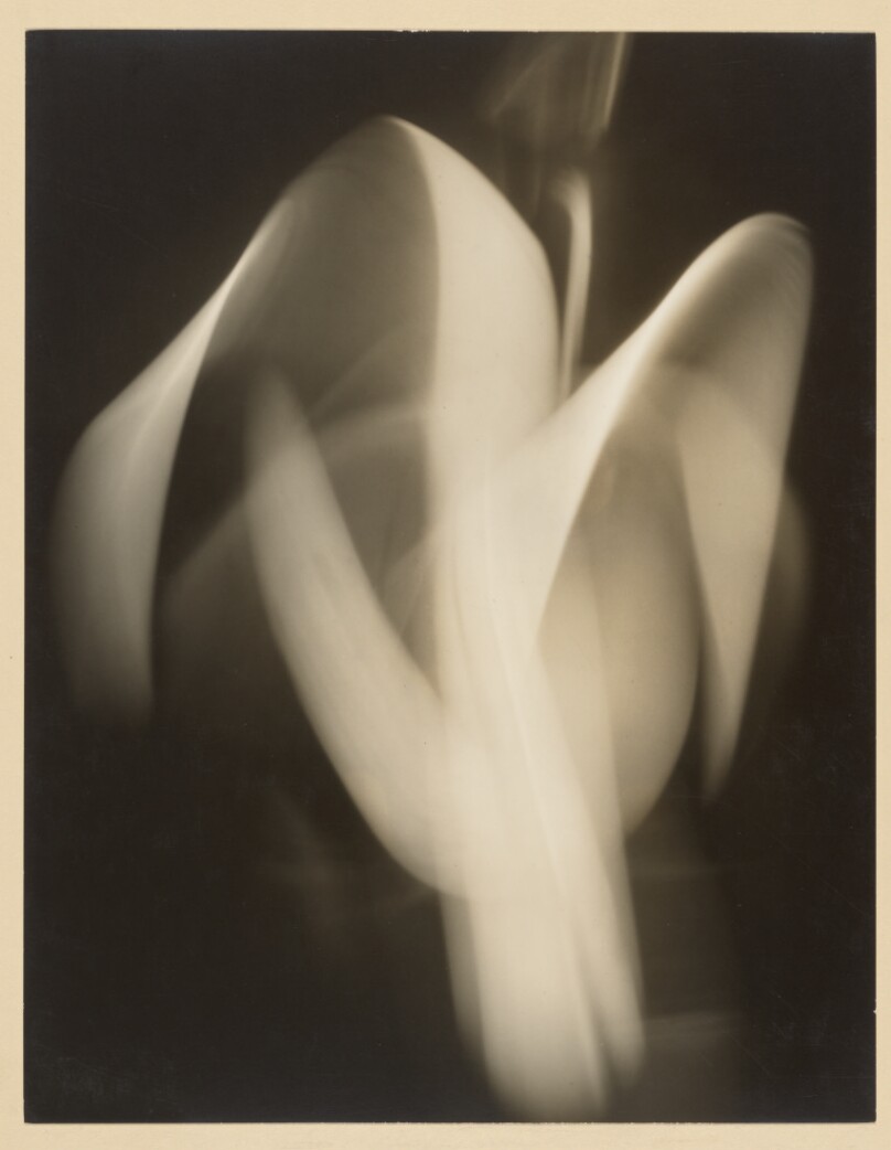 Form
