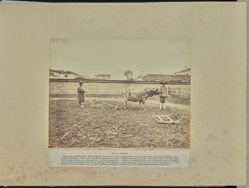 No. 12 - Ploughing.