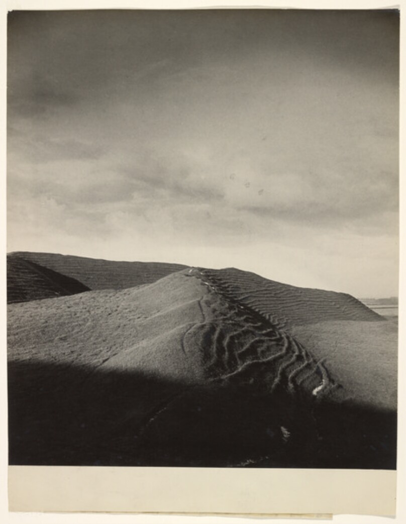 [Hardy's Wessex, Maiden Castle]/[Maiden Castle, Dorset]