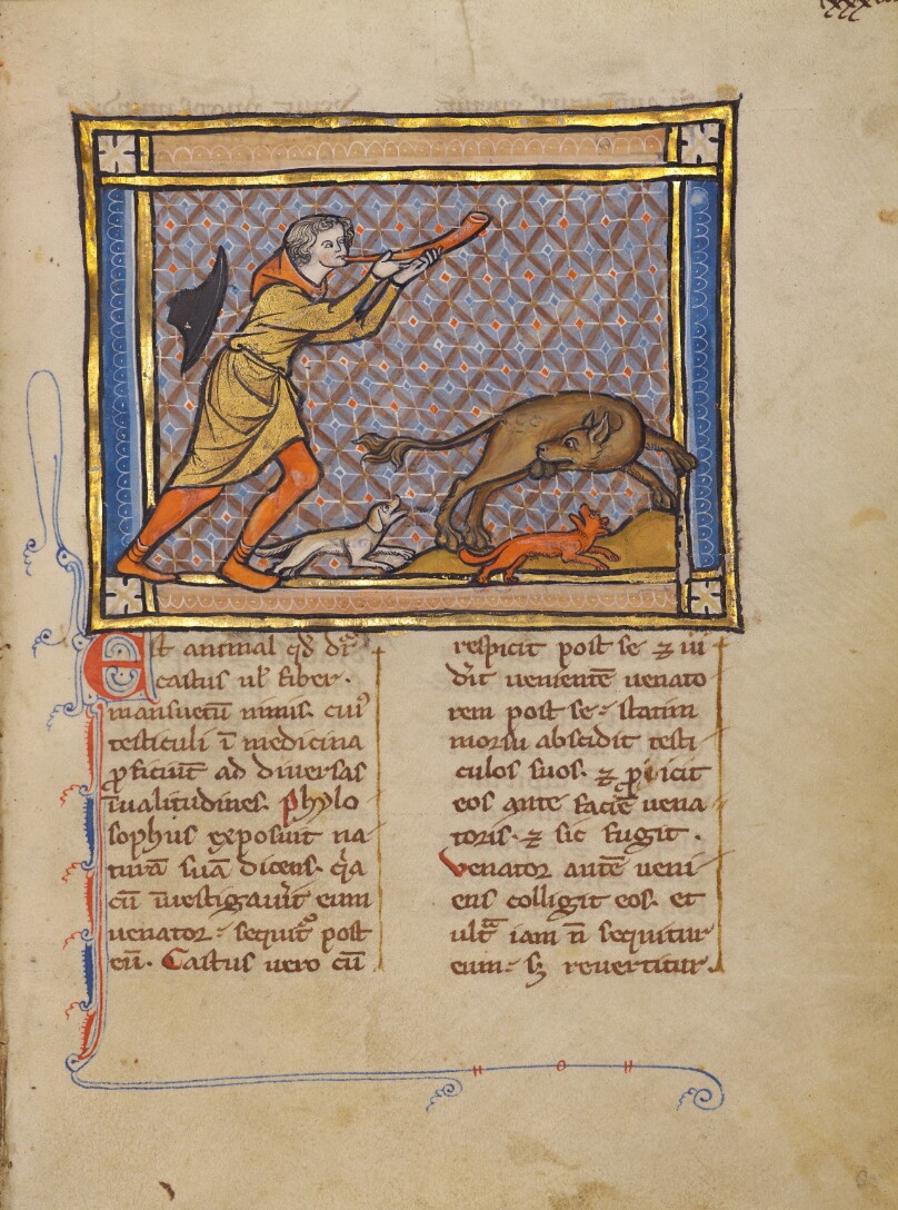 A Hunter and a Beaver