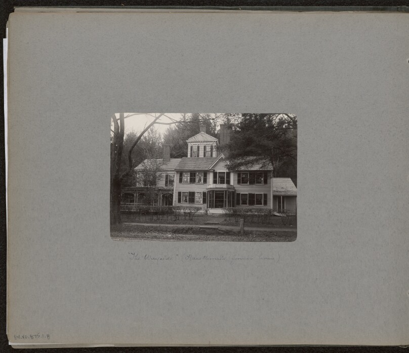 The Wayside