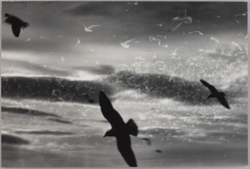 Mario Giacomelli