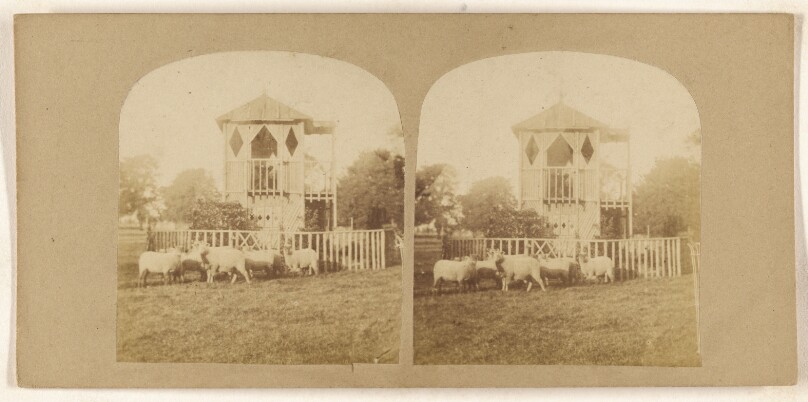 [Sheep on lawn in front of unusual fenced-in building]