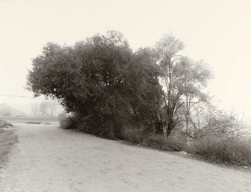 Arroyo Seco #21