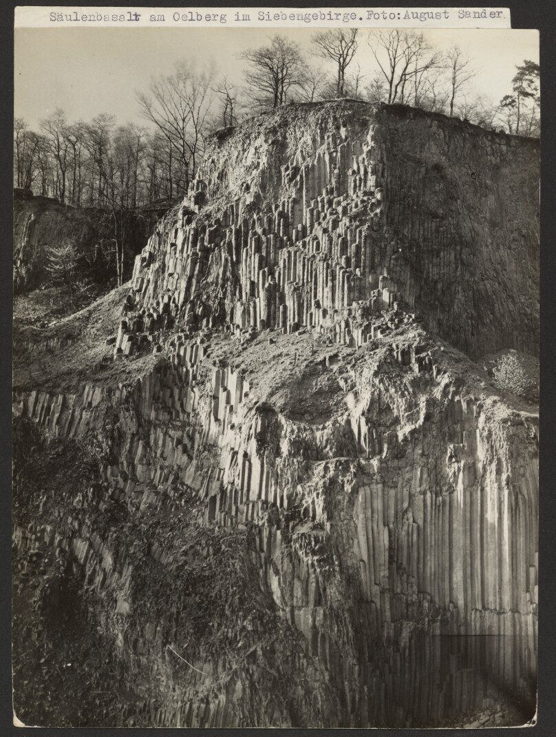 Basalt columns on the Ölberg in the Siebengeberge (Säulenbasalt am Ölberg im Siebengebirge).