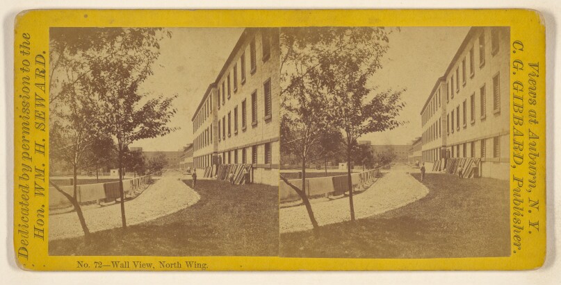Wall View, North Wing. [Auburn, New York]
