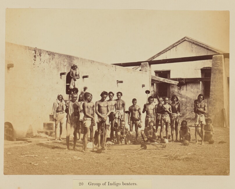 Group of Indigo beaters
