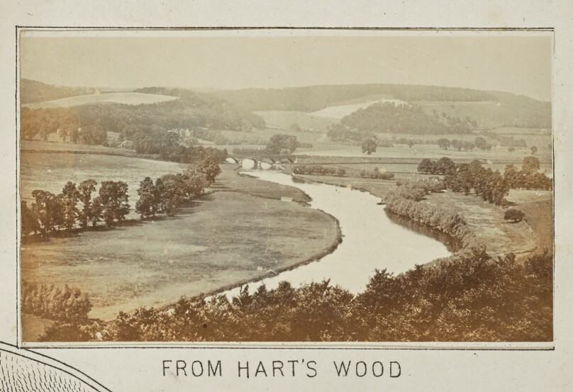 From Hart's Wood