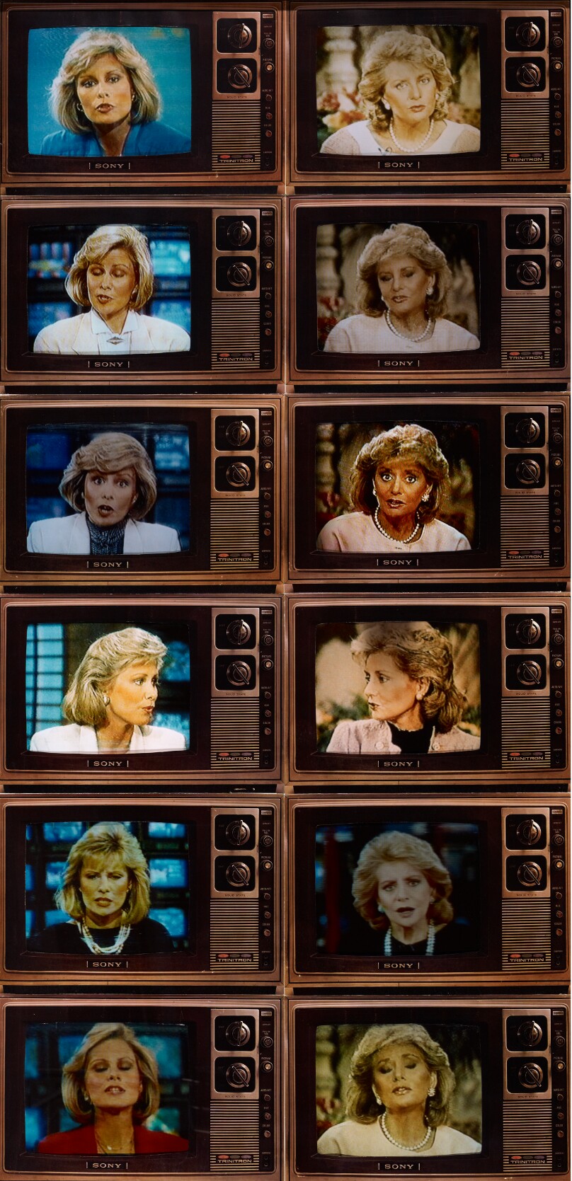 TV Newswomen (Faith Daniels and Barbara Walters)