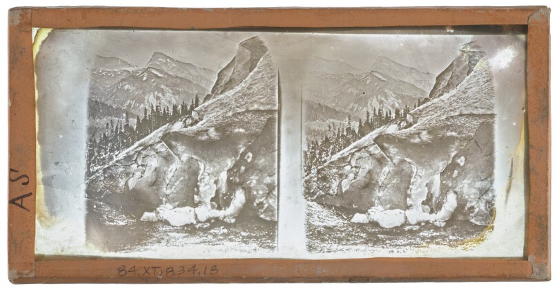 [Mountain view, slim angle of pine trees at center, probably in Switzerland]