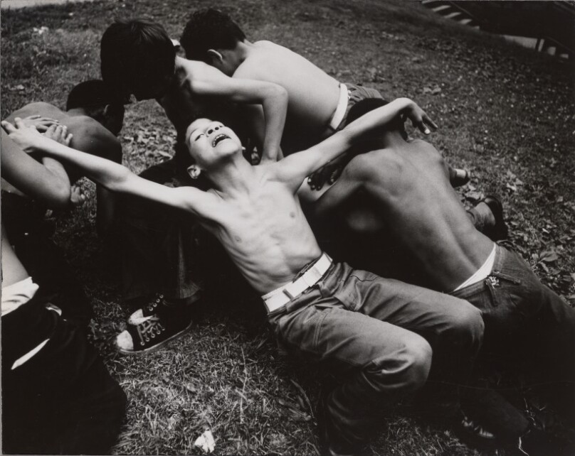 Boys Playing in Van Cortlandt Park, Bronx, New York