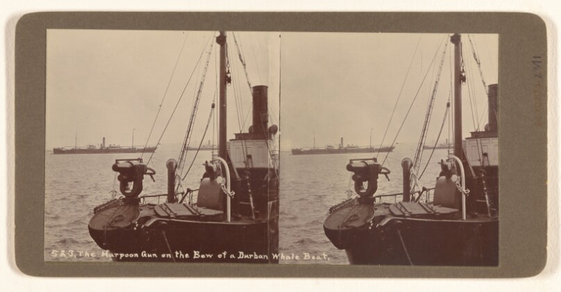 The Harpoon Gun on the Bow of a Durban Whale Boat.