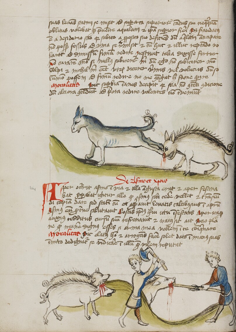 A Donkey Kicking a Wild Boar; A Pig Being Slaughtered