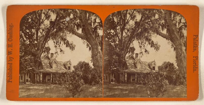 Mrs. H[arriet] B[eecher] Stowe's Place, At Mandarin, on St. John's River.