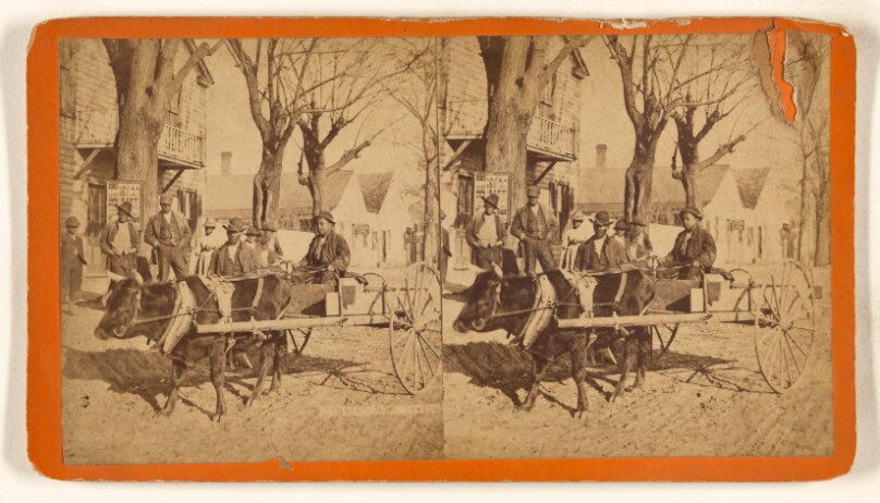 Southern Views