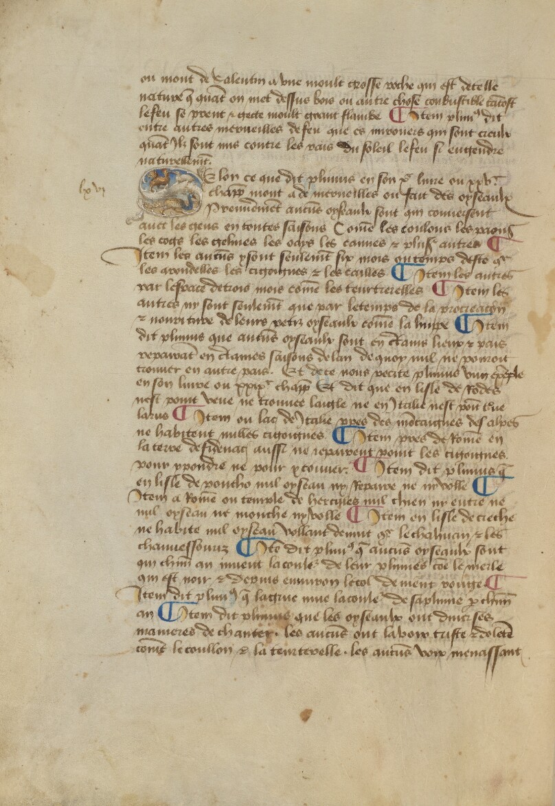 Historiated Initial S: Three Birds