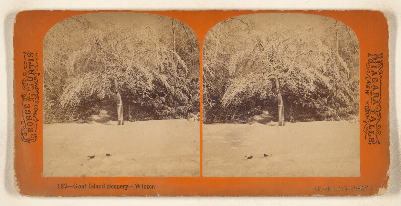 Goat Island Scenery - Winter. [Niagara Falls, New York]