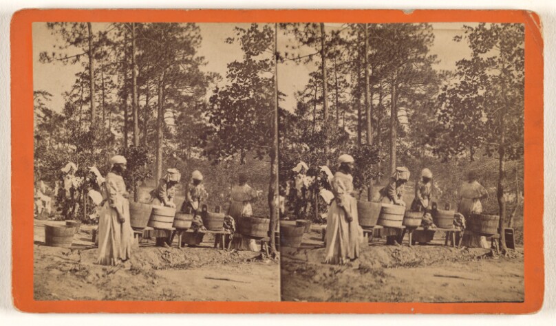 [Southern Washing Camp]