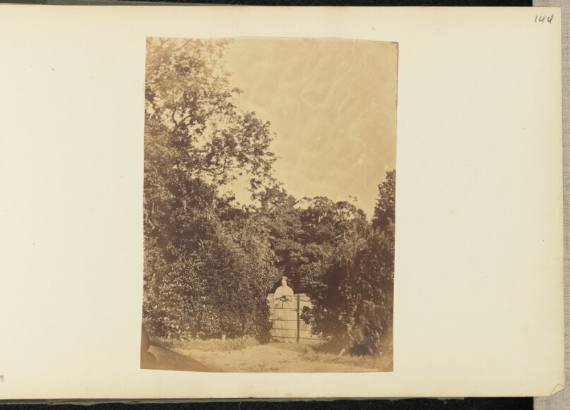 [Woman by fence]