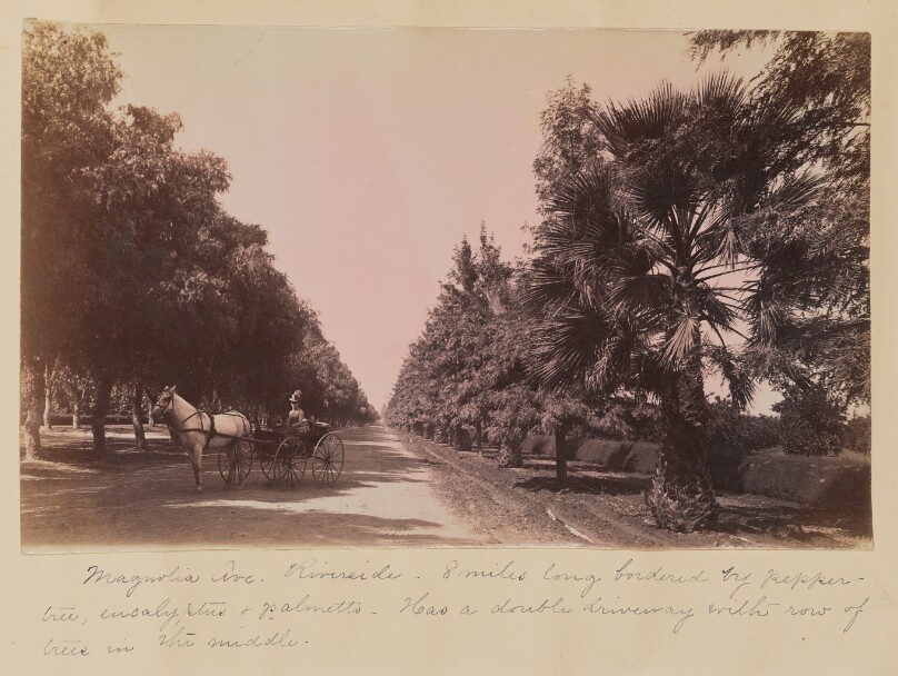 Magnolia Avenue, Riverside