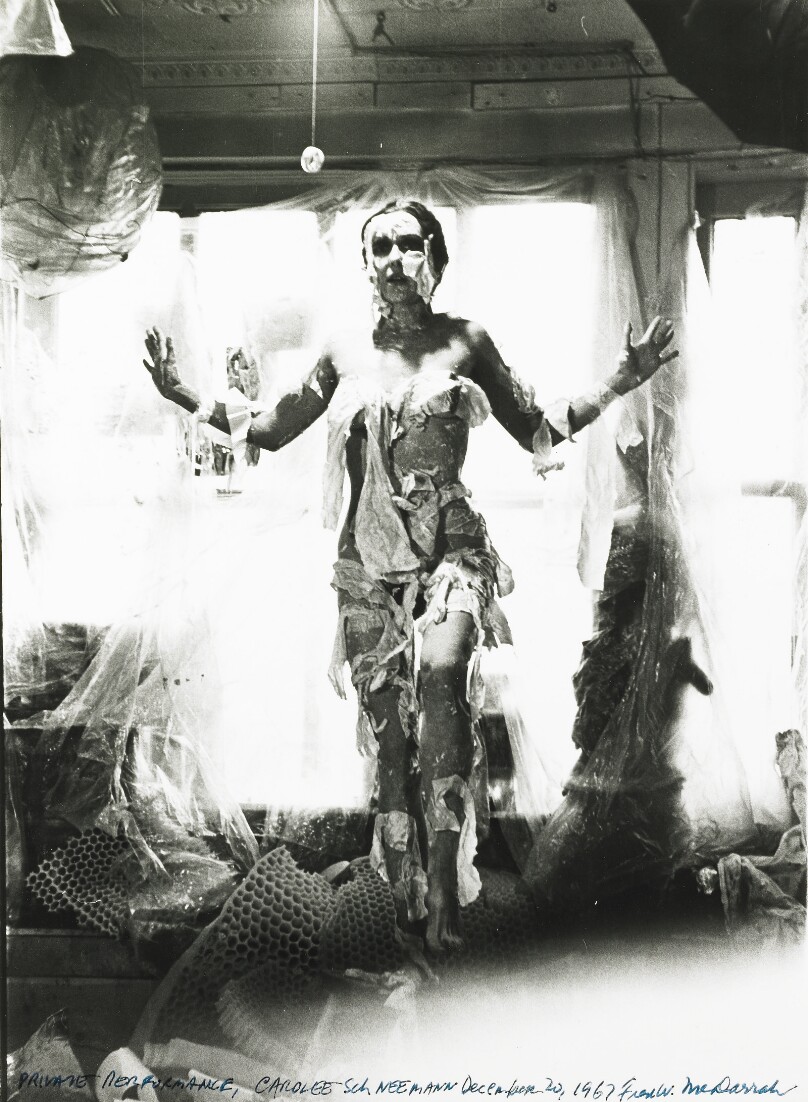 Private Performance, Carolee Schneeman
