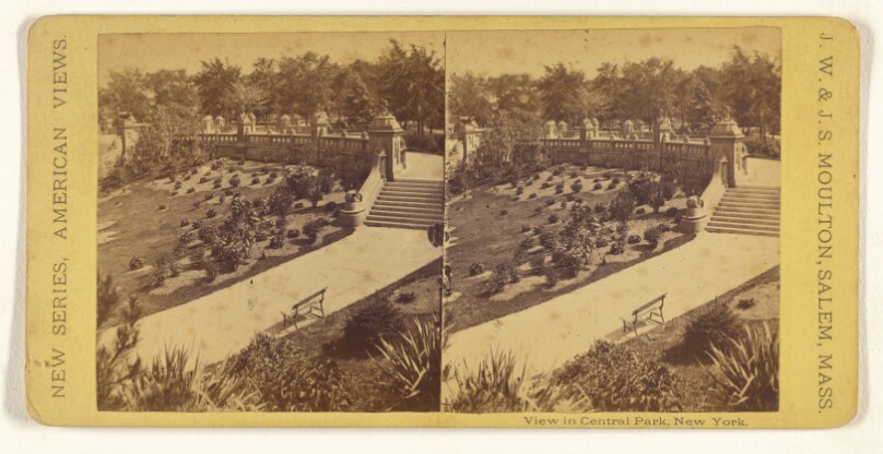 View in Central Park, New York.