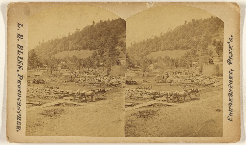 [View of several destroyed houses with horse and carriage in foreground at Coudersport, Pa.]