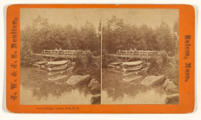 Locust Bridge, Central Park, N.Y.