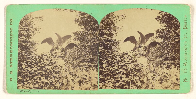 Bronze Group of Eagles. [Central Park, New York]