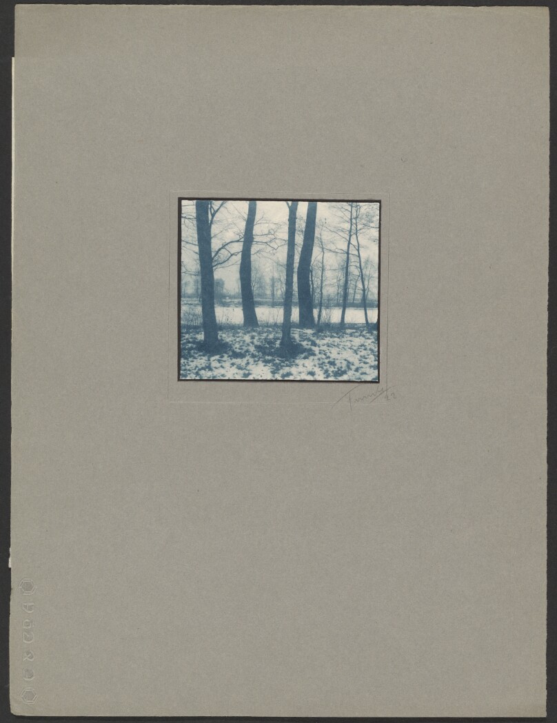 [Trees Along Snowy Riverbank]