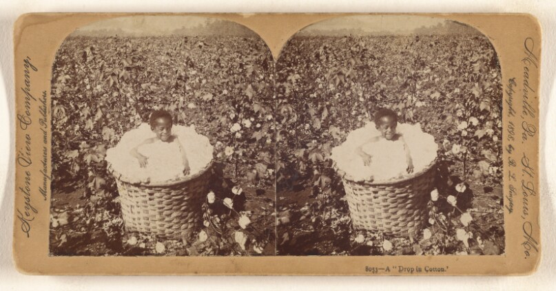 A "Drop in Cotton."