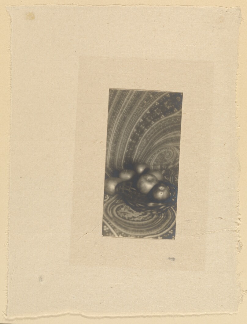 [Still Life]