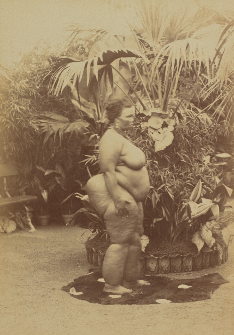 [South African Woman, Nude]