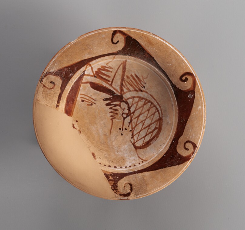 Genucilia Plate