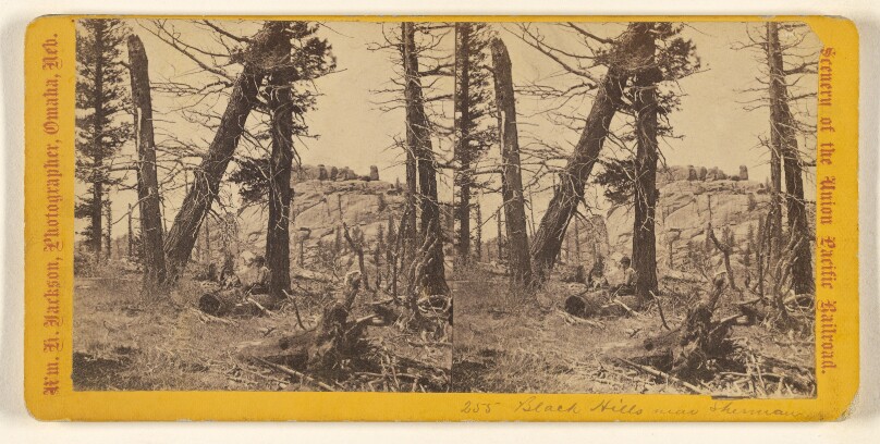 [Black Hills near Sherman]