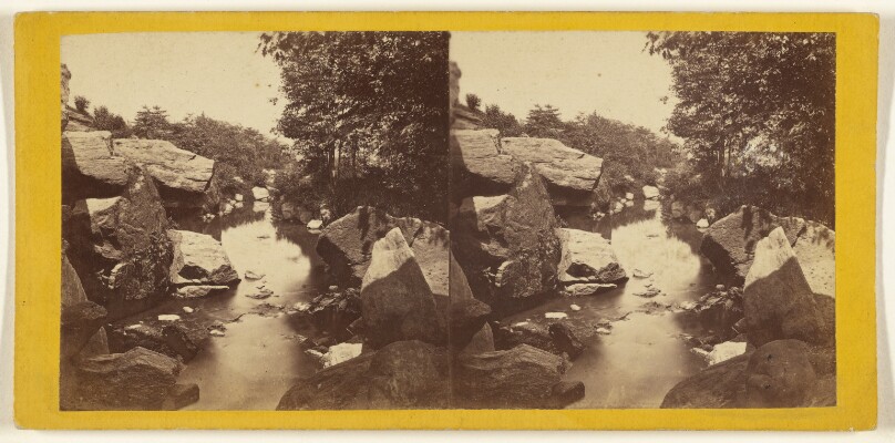 Central Park. (New York.) The Brook near the Upper Lake.